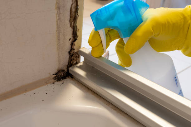 Mont Belvieu, TX Mold Removal Company