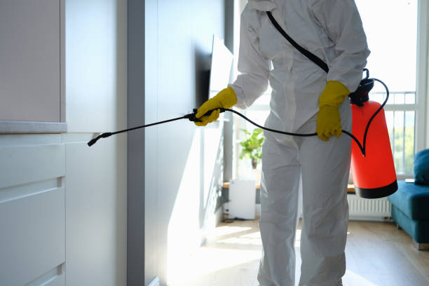 Best Professional Mold Removal  in Mont Belvieu, TX